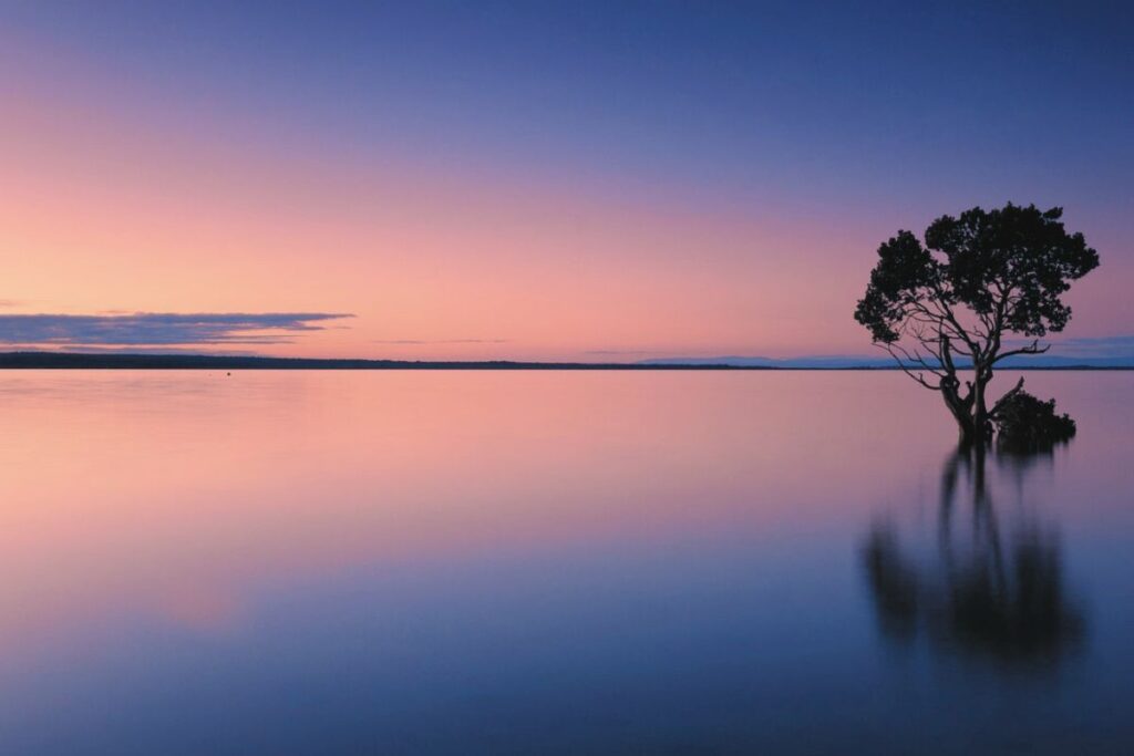 夕暮れの湖に一本の木が映り込む、静かで穏やかな風景。揺らぎのない水面が、心がやわらぐ未来を象徴するイメージ。