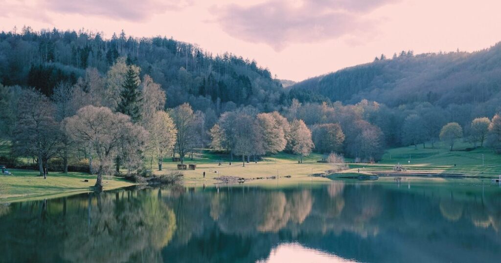 静かな湖に柔らかい朝の光が差し込む風景。心のざわつきが落ち着き、穏やかな未来へ向かうイメージ写真。